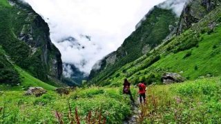 चमोली में फूलों की घाटी 31 अक्टूबर से होगी बंद, 35 हजार पर्यटकों ने किया दीदार