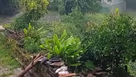 अल्मोड़ा के धौलादेवी में बदला मौसम का मिजाज, मूसलाधार बारिश और ओलावृष्टि से बढ़ी ठंड