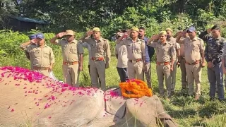 अलविदा सोनाकली… कॉर्बेट की वीरांगना, साहस की अमर कहानी!