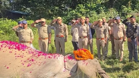 अलविदा सोनाकली… कॉर्बेट की वीरांगना, साहस की अमर कहानी!